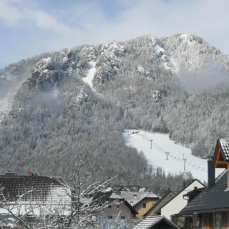 Lejlighed Apartma Antico *