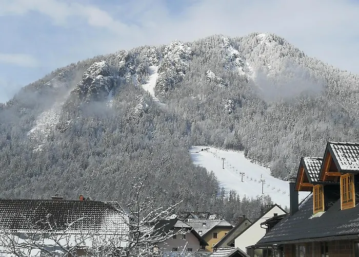 Apartment Apartma Antico *